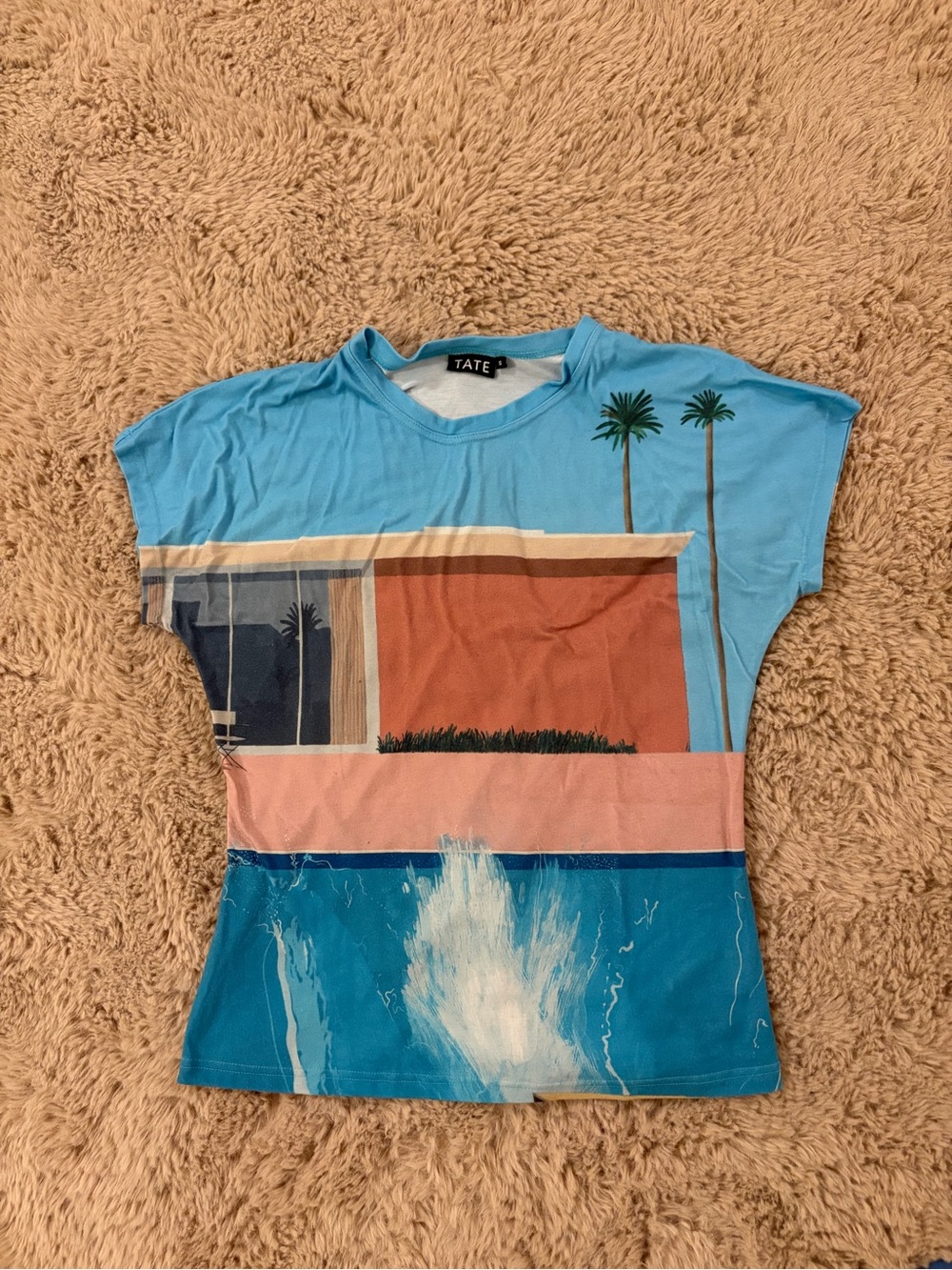 David Hockney Splash Graphic Tee